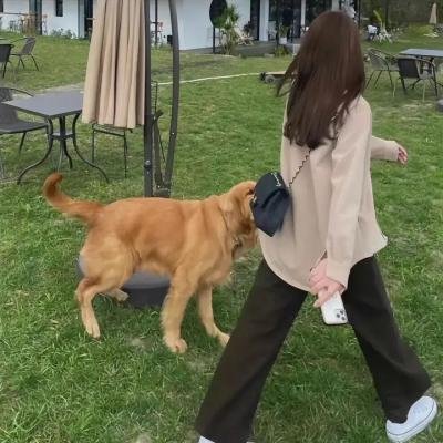 人·鬼·情 在线观看