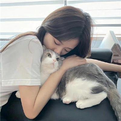 热血长安第二季 在线观看